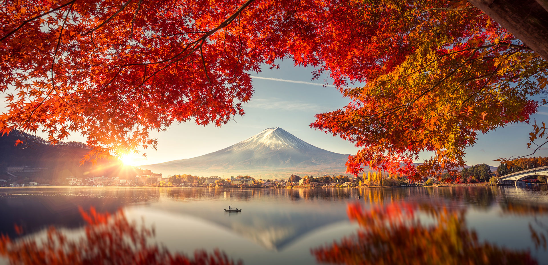 image of red leaf tree watching mount Fuji