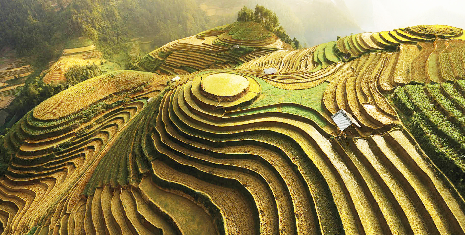 terrace image